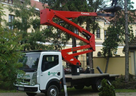 Autodizalica